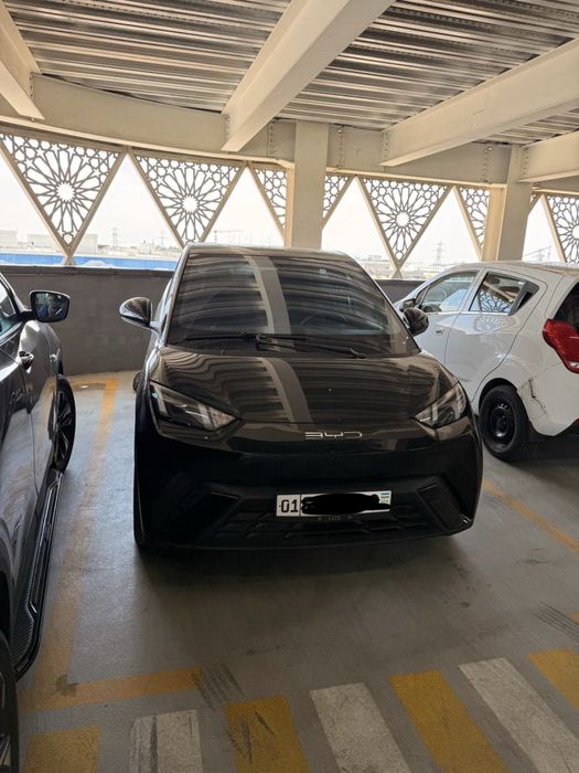 Byd seagull 2023