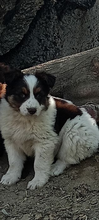 Ребенок красавчик