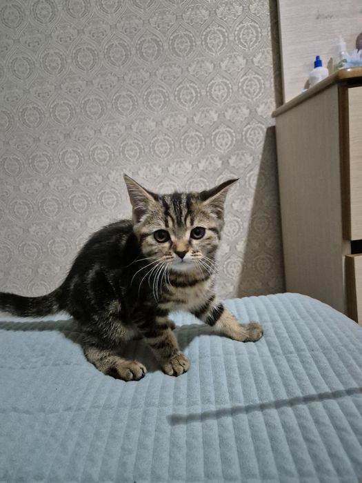 Одам за хороший  руки