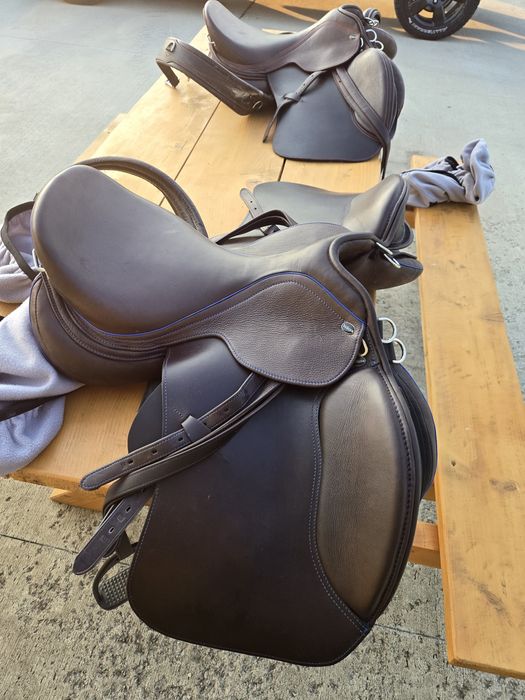 Sei/sa calarie echitatie marca Velicea Vultureni • OLX.ro