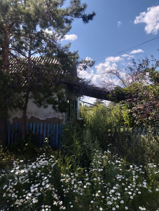 Продам дачю.Алга 15калектив