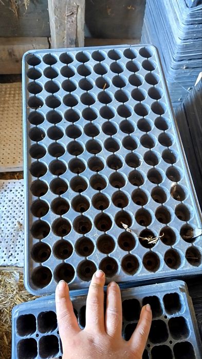 Тарелки за разсад