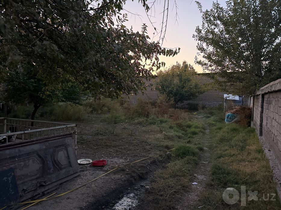 Янгиюль тумани, 8 сотих ховли