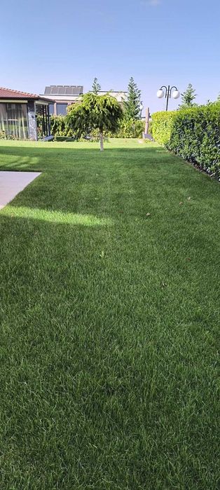 Елит Гардън -озеленяване и дизайн