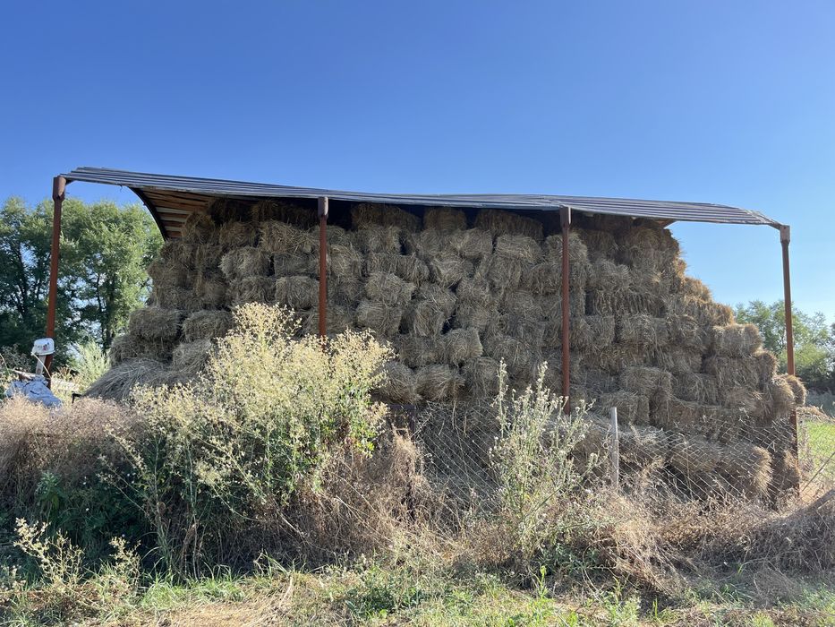 Шөп сатылады еркін