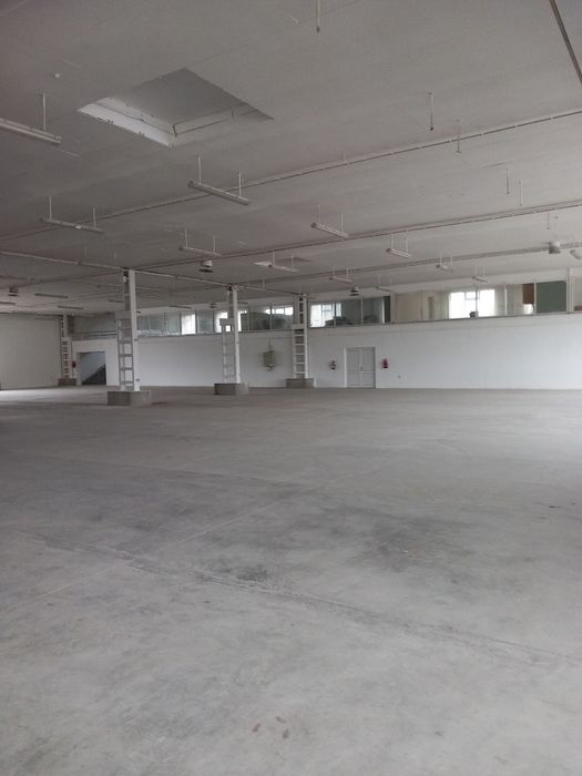 Hale industriale închiriere.