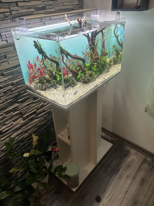 Аквариум с шкаф пълен сет