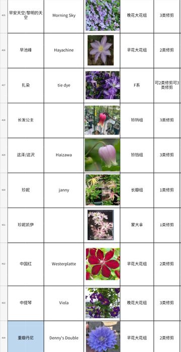 Климатис биринчи кул оптом