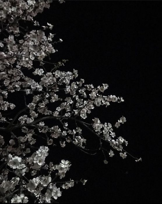 Обмен poco f7 12/512 full комплект