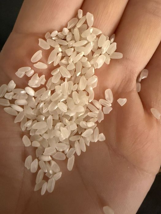 Күріш сатылады кабы 8000тенге