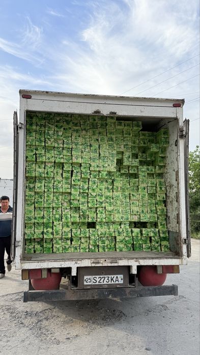 Pol taxta samarkand optom kvd 90mingdan boshlanadi