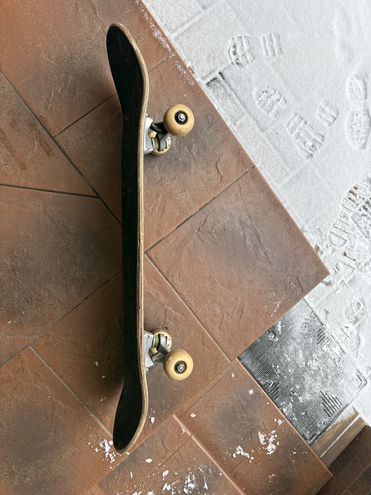 Skateboard freestyle