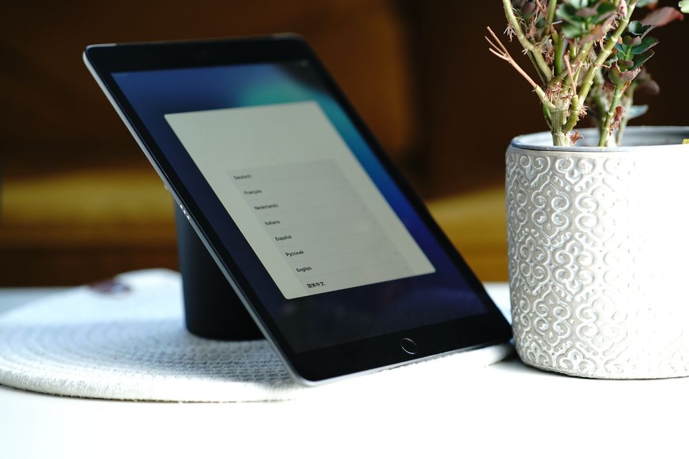 iPad 7th generation Wi-Fi + Cellular 32 GB
