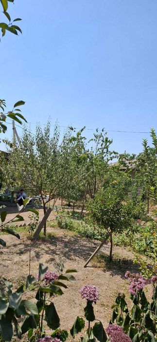 Продажа участок земля 5 соток угловой Чингелди Янги Узбекистан №К59