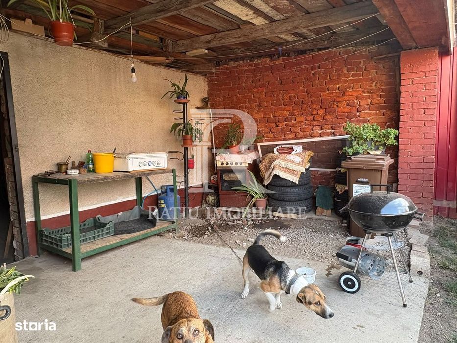 Casa cu 4 camere | Velenta | 127 MP Utili | Oradea