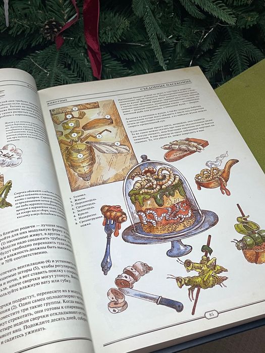 Книга «Как создать цивилизацию заново»