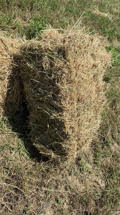 Жоңышқа шөп.Пресс. Келсімді бағада