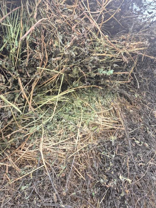 Vand stog lucerna+trifoi