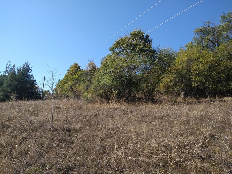 Продава се Парцел в с. Лесковдол, Област София-област - 2167 кв.м за 6 €/кв.м - Снимка #3