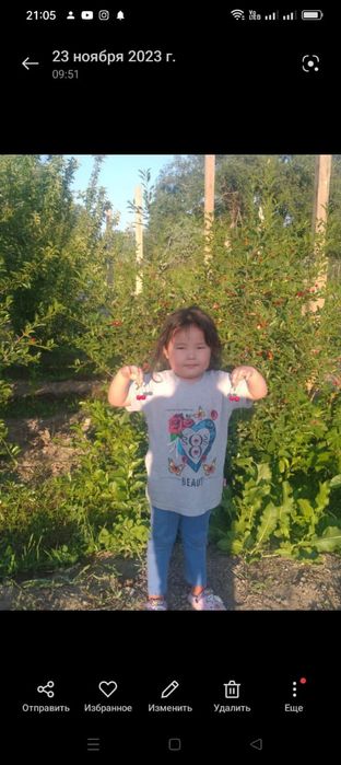 Датча сатылады тасбугетте