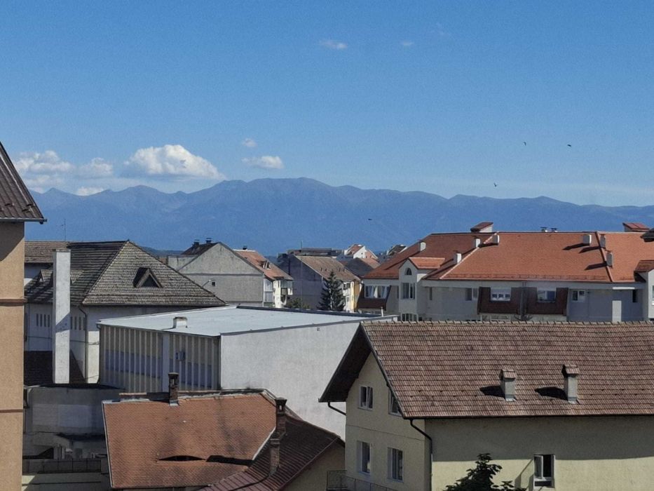 Apartament-Mansarda-Terezian