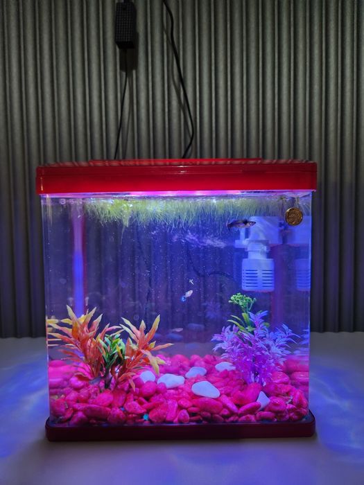 Xitoy akvarium 12l