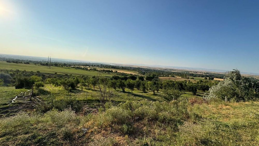 Продаётся фермерское хозяйство 11 га..