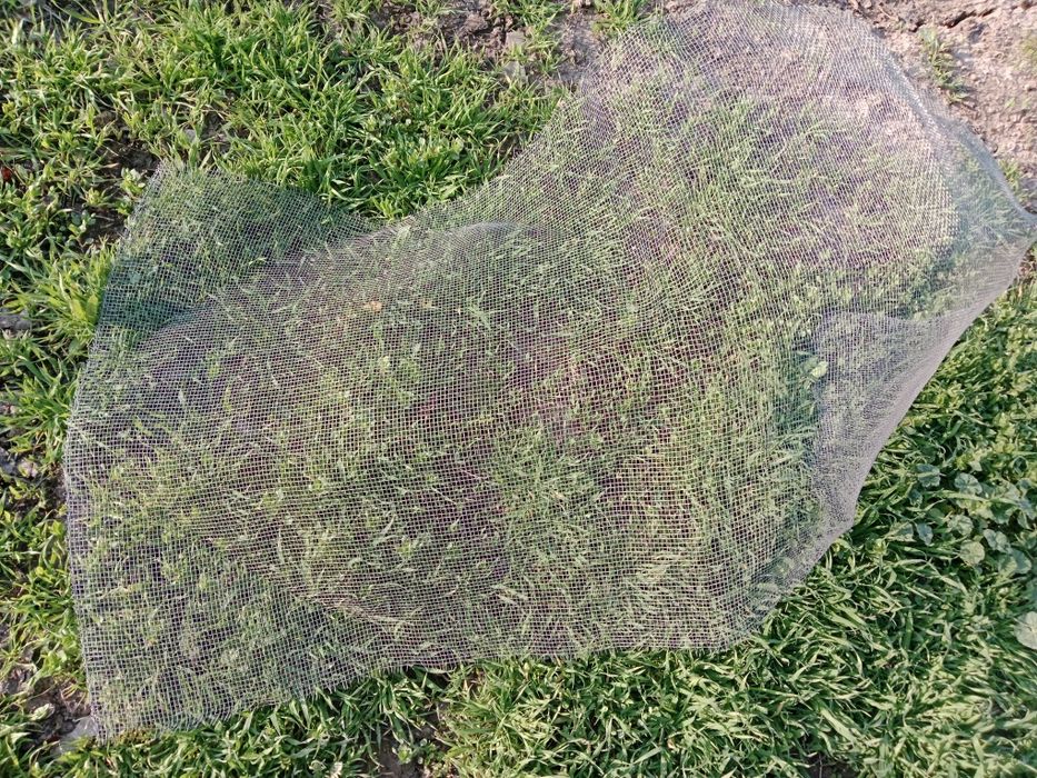 Сетка нержавейка 100смх50см