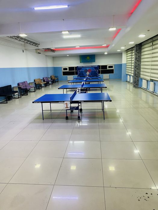 Настольные теннисные столы