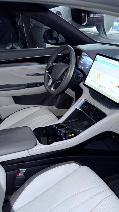 Other Song Pro DM-i Champion 2024 — 8