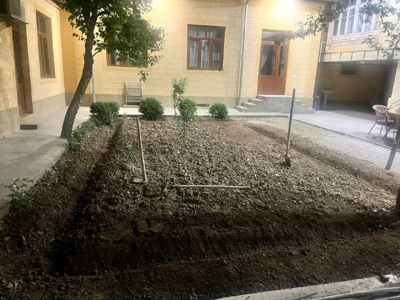 Газон экамиз уругдан, рулон таййор газон экамиз, сфатли. ландшафт