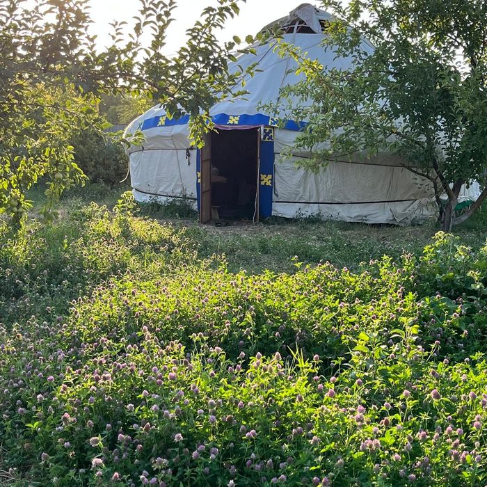 Кафе, ресторан, юрта