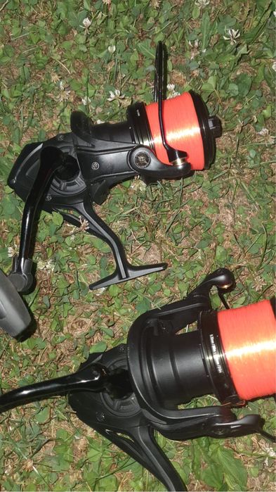 Lansete+mulinete carp expert