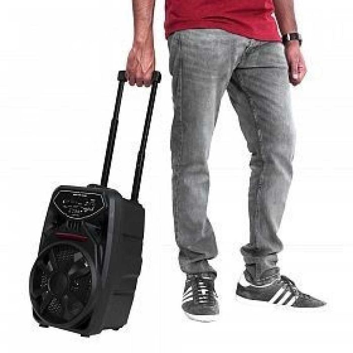 Преносим Bluetooth високоговорител с вход за микрофон PK-09(L)