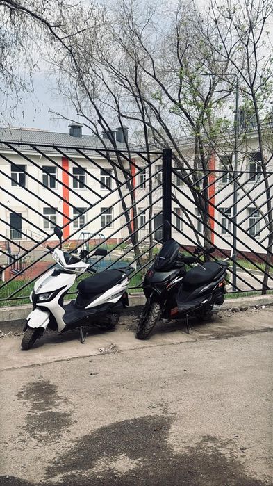 Аренда мопедов от 25000 тенге