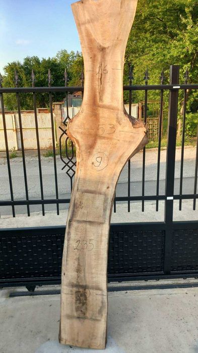 Орехови янове 6 см