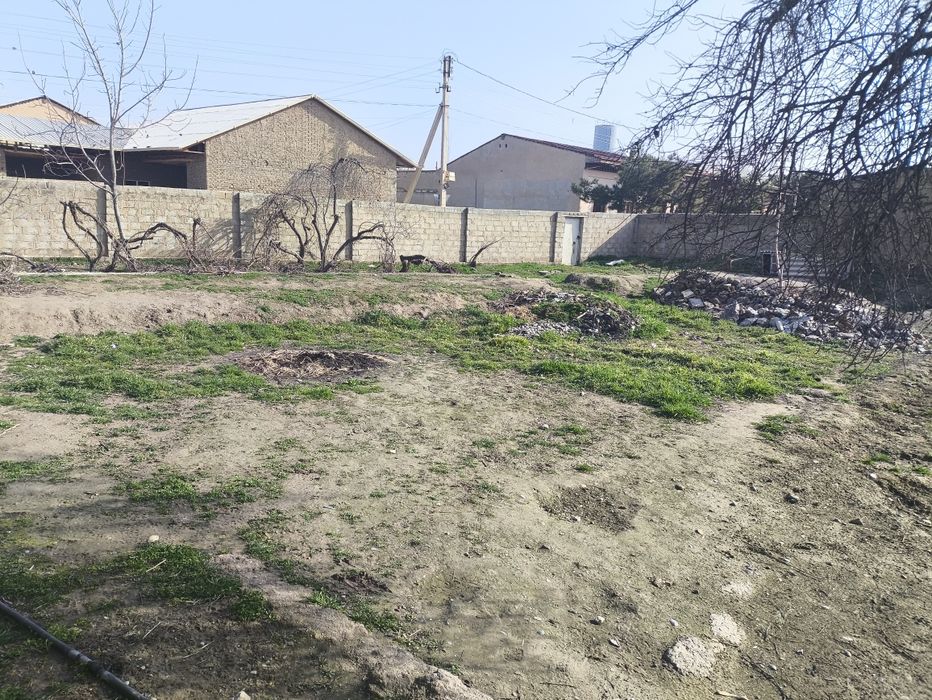 Hovli 6 sutixi sotiladi