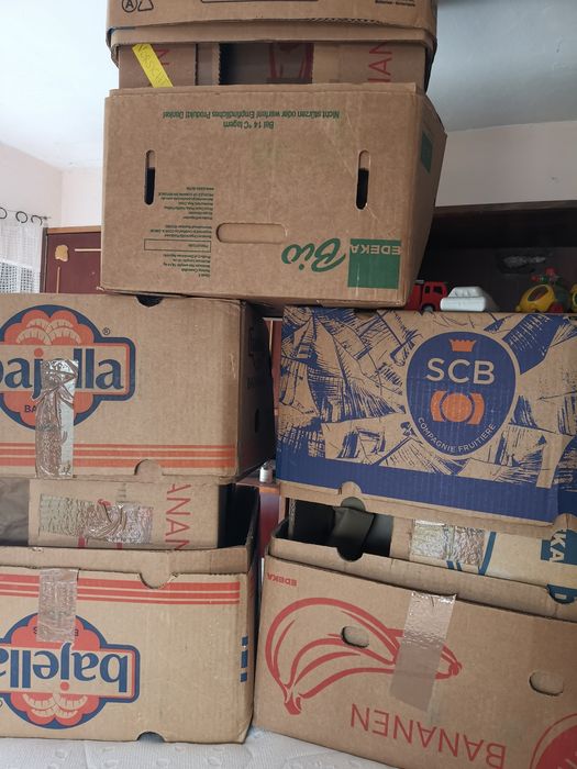 Baxuri   cutii banane