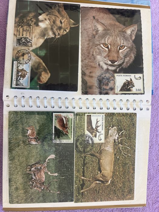 Album Maxime cu animale