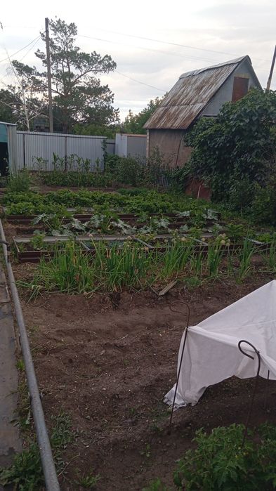 Продам дачу Черёмушки