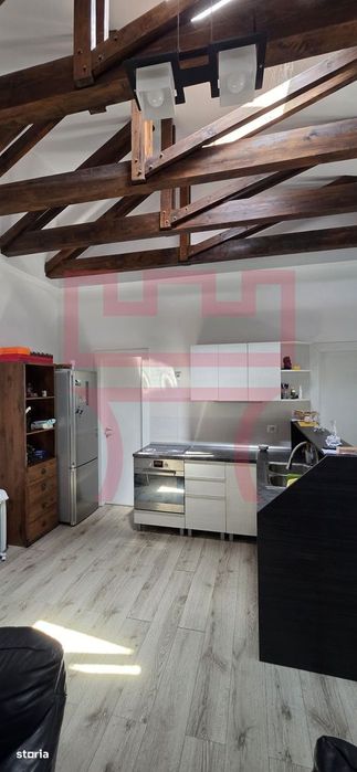 Casa zona Platinia Parcul Mare curte 500mp + apartament/ birou