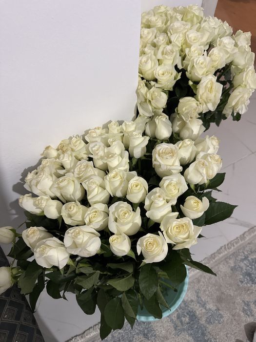 Розы 51 штук свежие.