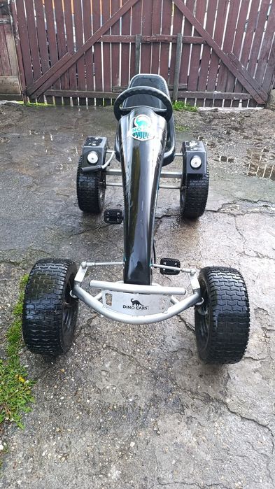 Vind cart DINO CARS coii/adulti