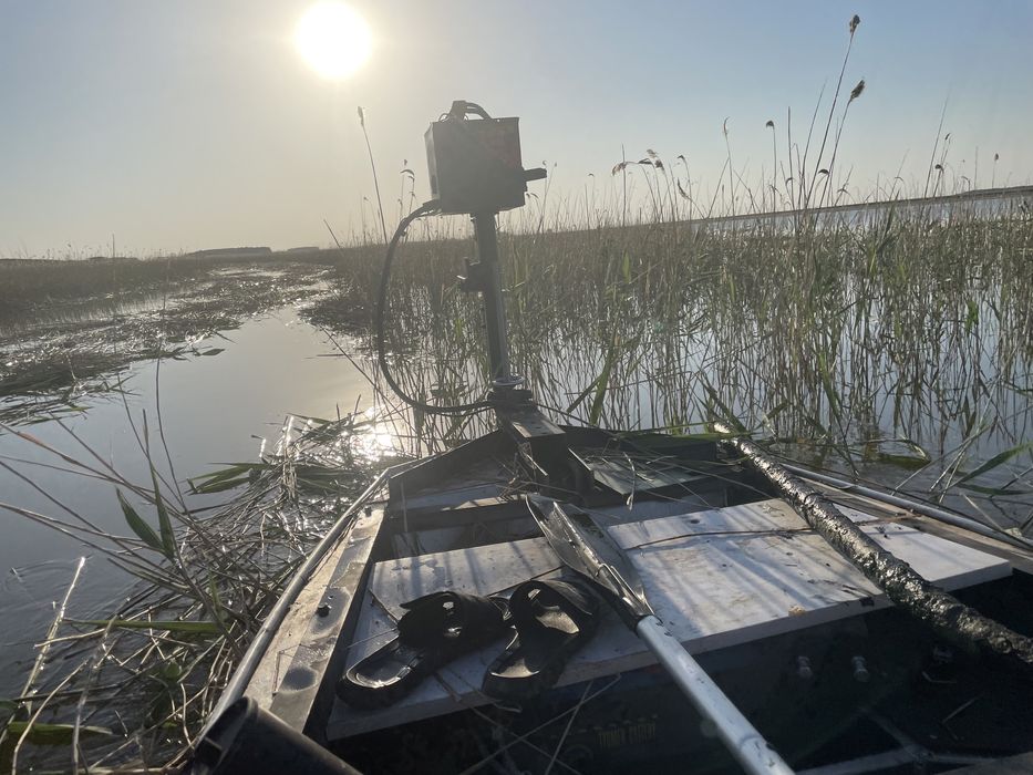 Камышекосилка.