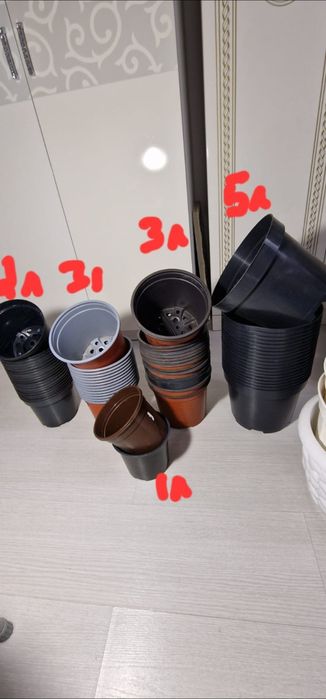 Продам комнатные цветы и горшки