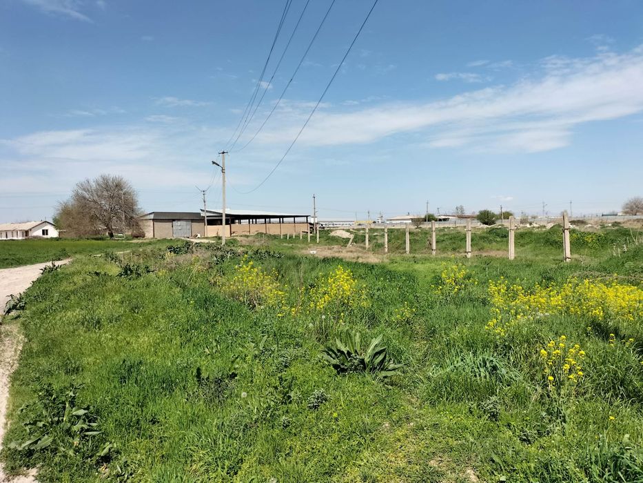 10 га Новый Ташкент