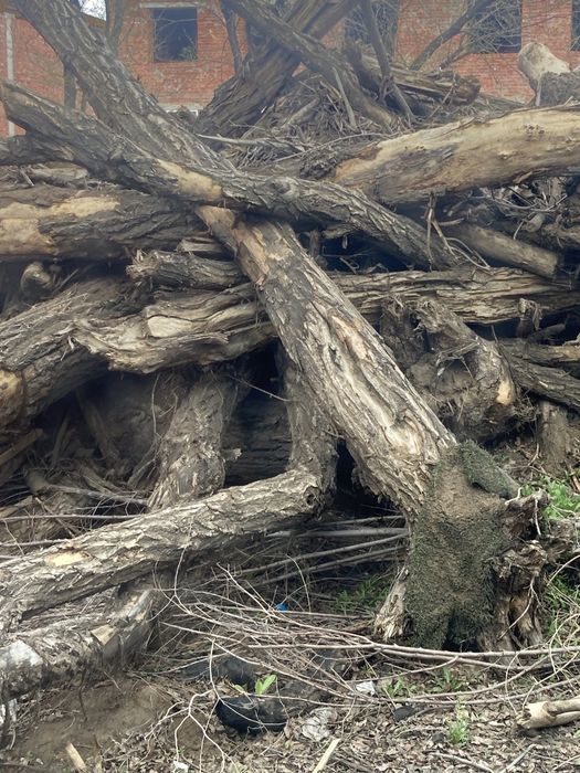 Дрова древесные уголь