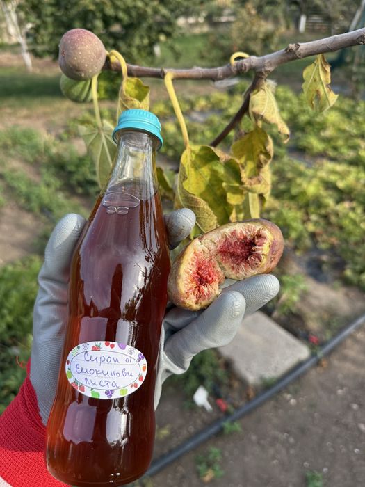 Домашен сироп концентрат от Малини, Мента, Смокини,Мащерка,Маточина