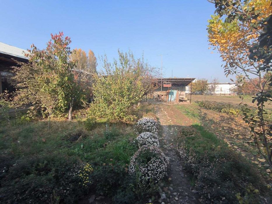 Sotiladi Choyxona va hovli Qoravoy MFY, Bostonliq tumanida.