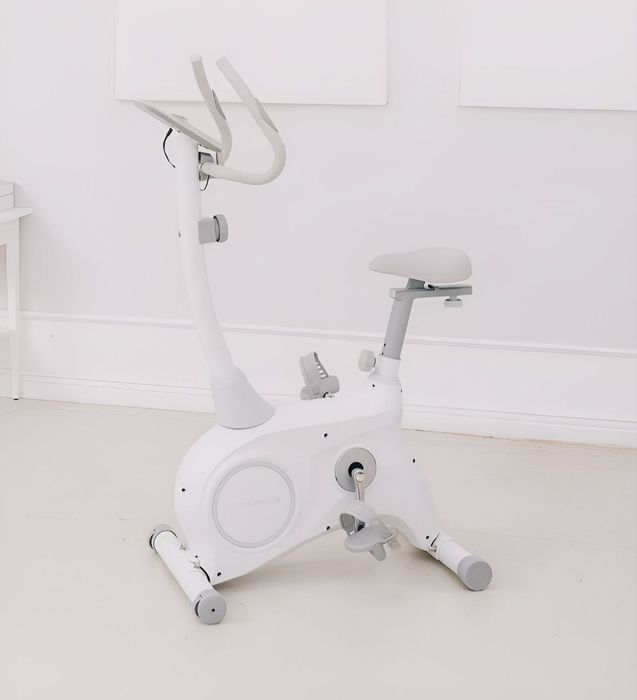 Велотренажор  130кг 007